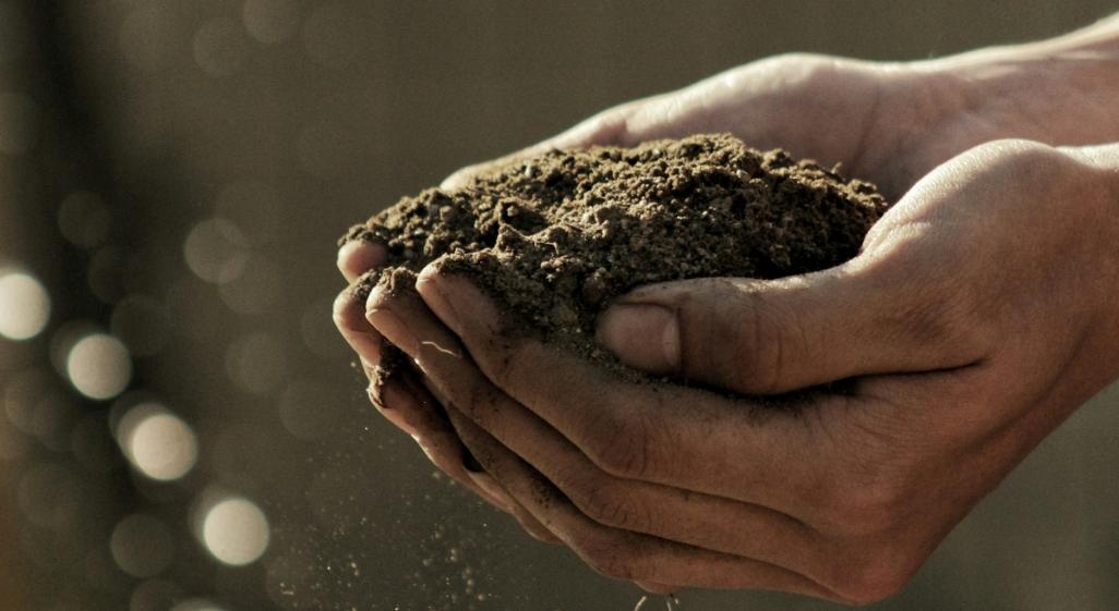 The Soil Truth: Why Your Food Isn’t as Nutritious as It Used to Be