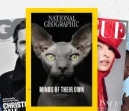 magazine.co.uk
